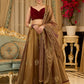 Regal ensemble gold tissue lehenga with intricate embroidery and a stunning velvet blouse  - Dupatta Optional