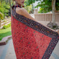 Exquisite Ajrakh cotton animal print maroon & black saree